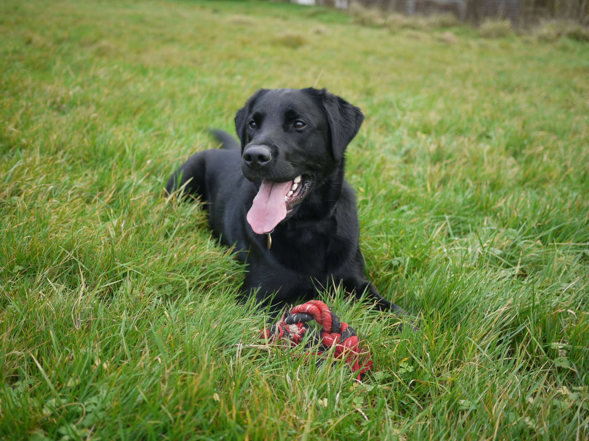 Meet the Team – Fred Owen