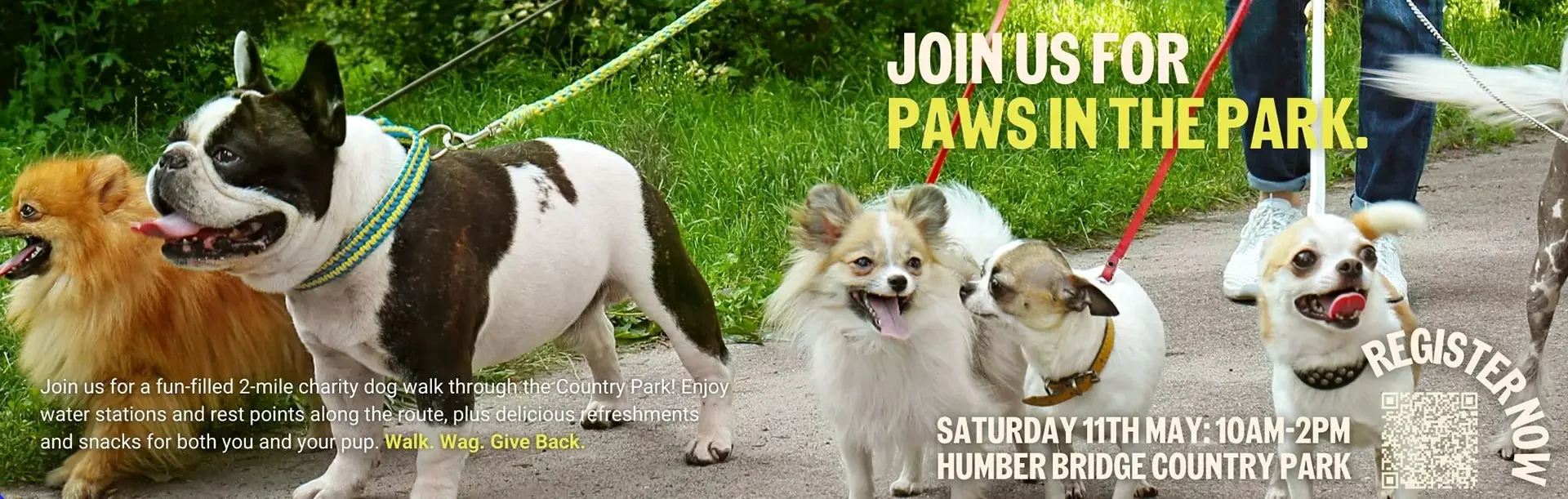 Paws in the Park – Charity Dog Walk