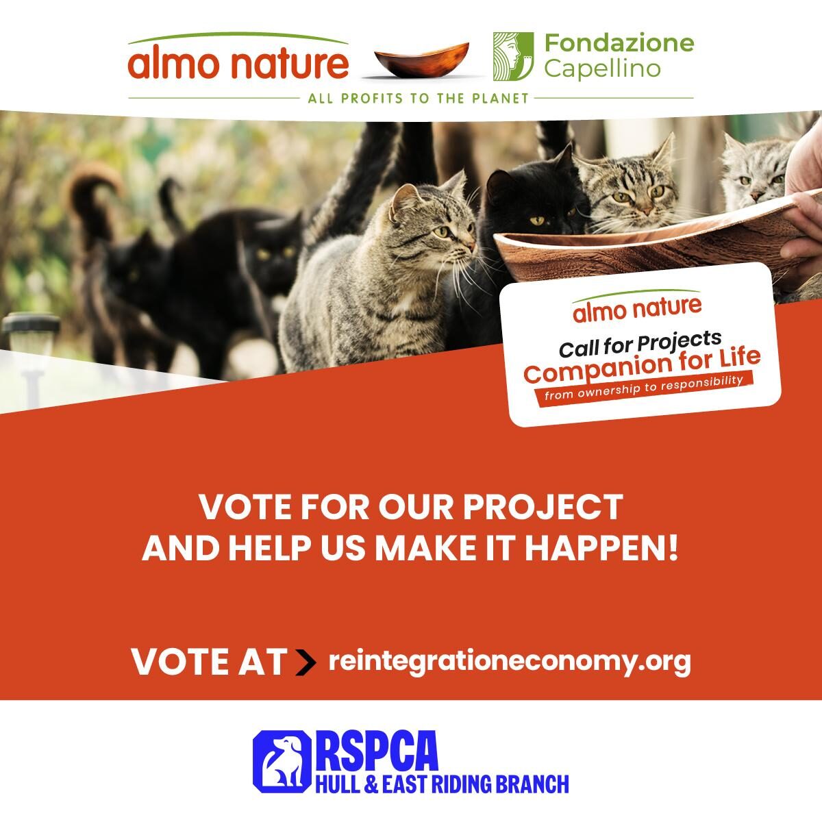 We Need Your Vote – Bring our Petwise Project Alive!