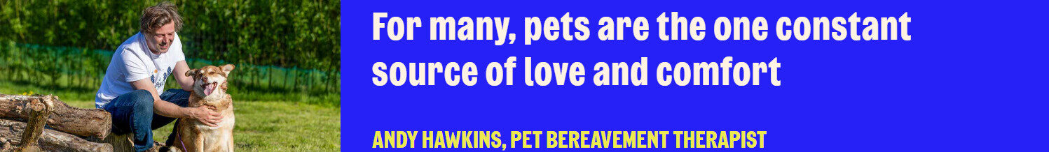 Not Just a Pet: Honouring Our Pets This Pet Memorial Day