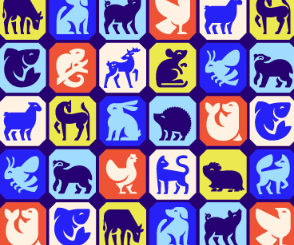 Have You Considered Organising a Fundraiser for RSPCA Hull & East Riding?