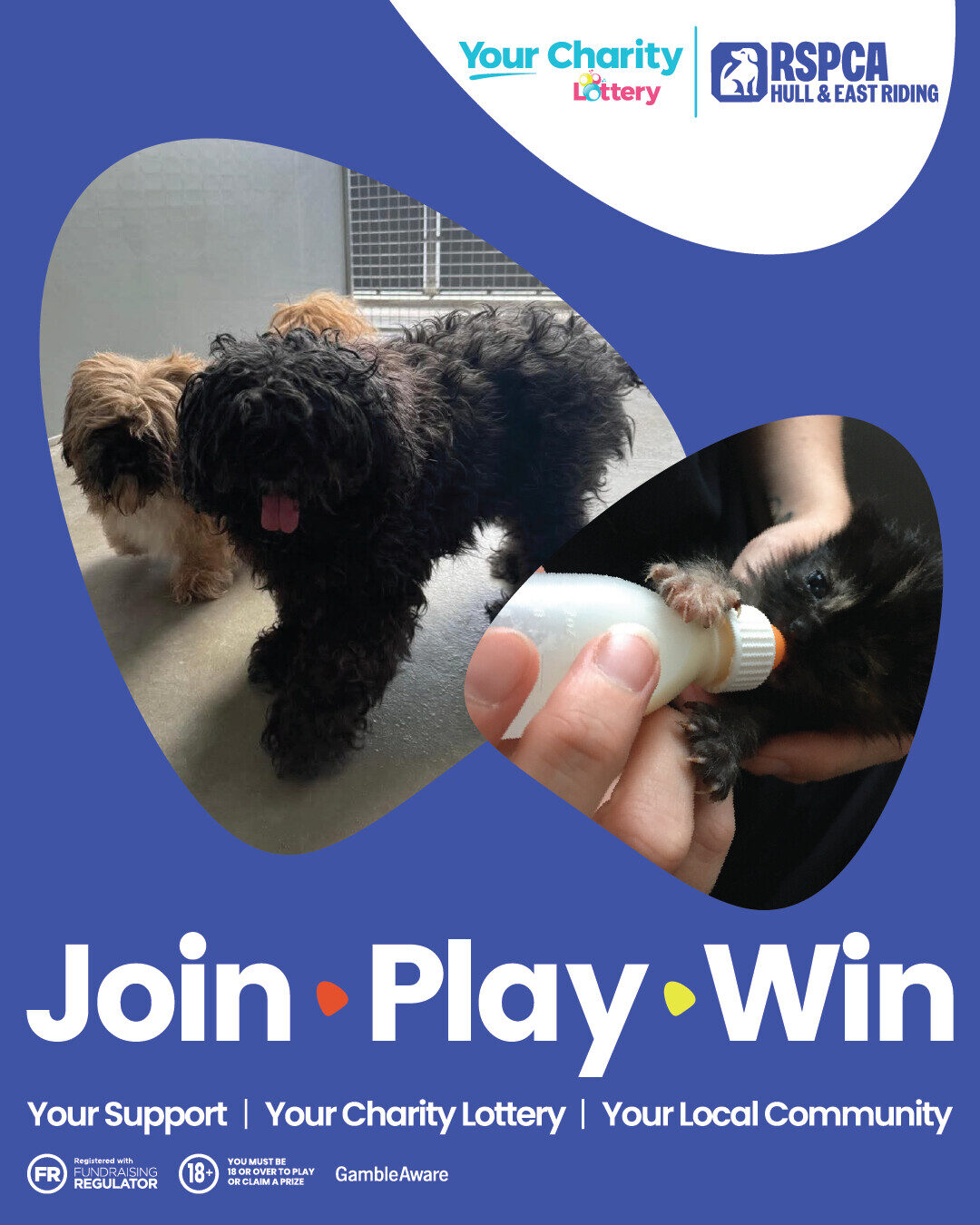RSPCA Hull and East Riding Launches Community Lottery Partnership