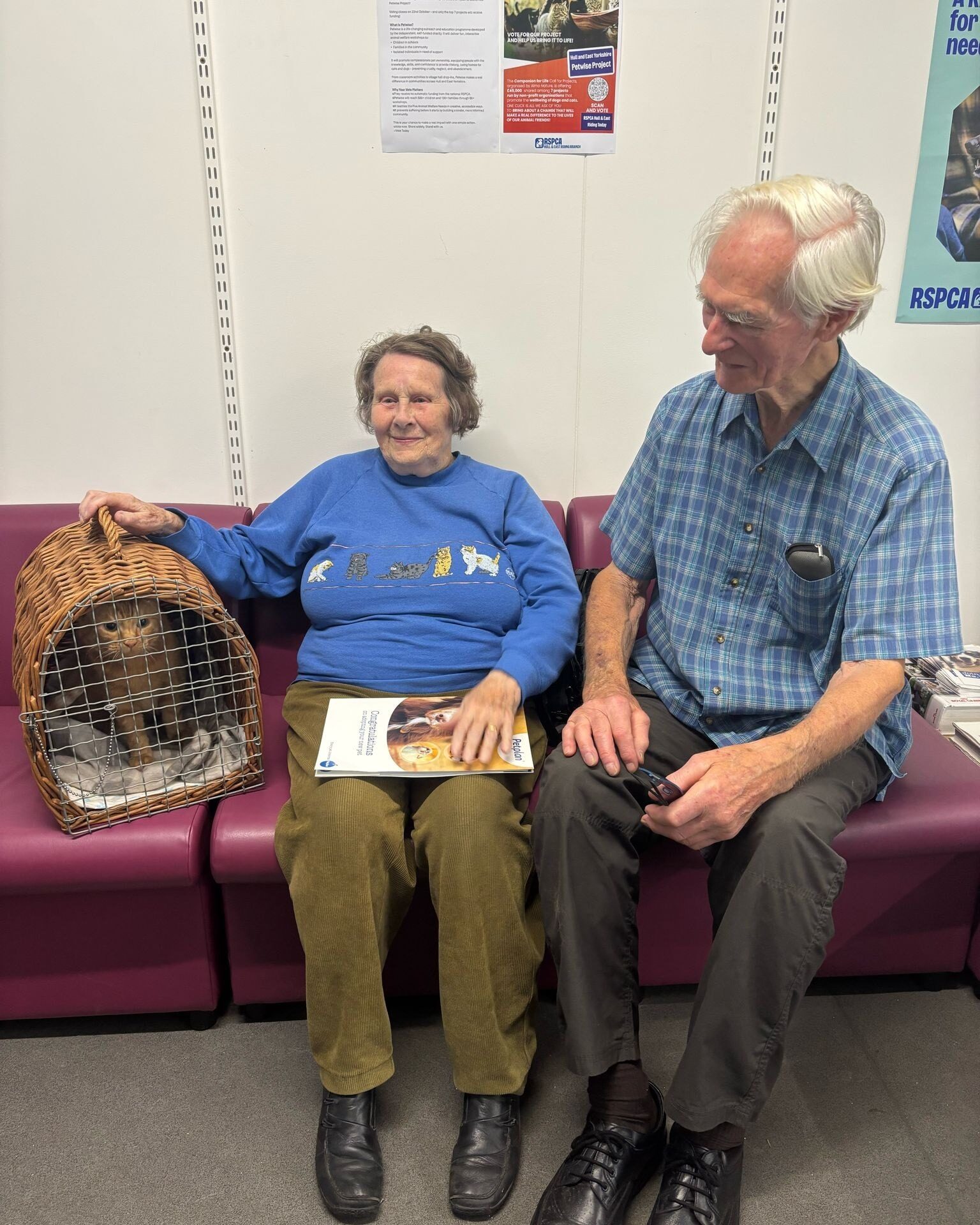 Diego’s story – Extreme neglect to forever home for 8-year-old tom cat
