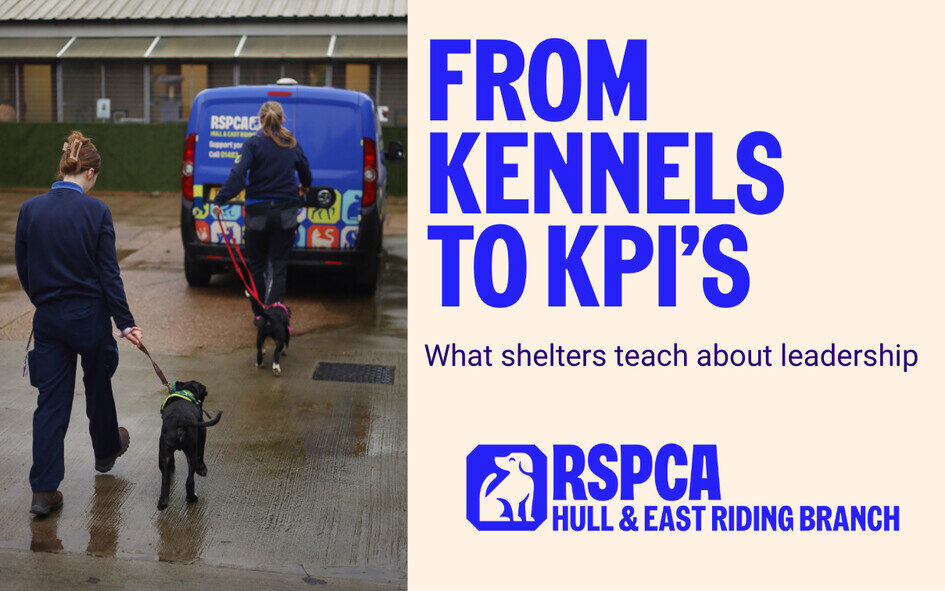 Humber Business Week Event: From Kennels to KPIs – What Shelters Teach About Leadership